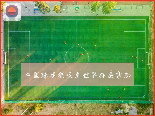 中国球迷熬夜看世界杯成常态