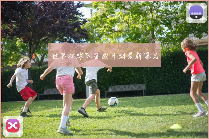 世界杯球队备战计划最新曝光